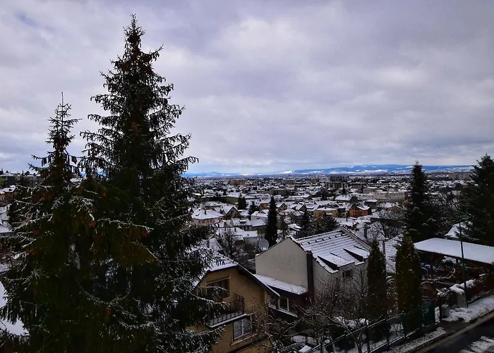 Apartment Flori's Brasov