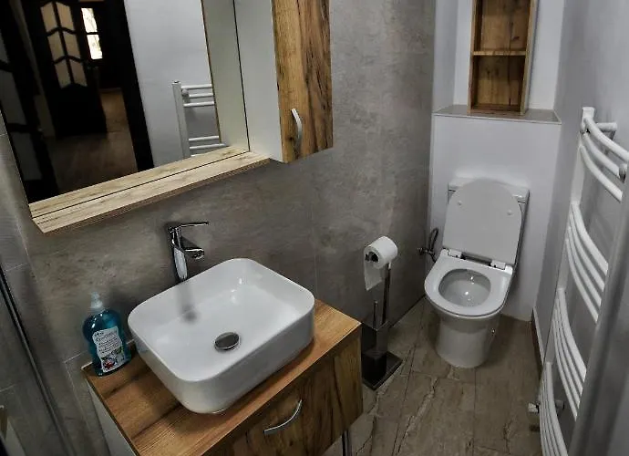 Apartment Flori's Brasov