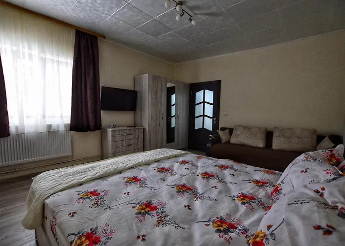 Apartment Flori's Brasov